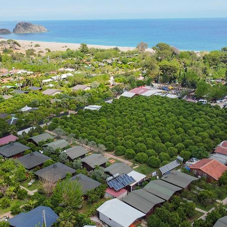 Cirali Zakkum Bungalow Bagian luar foto